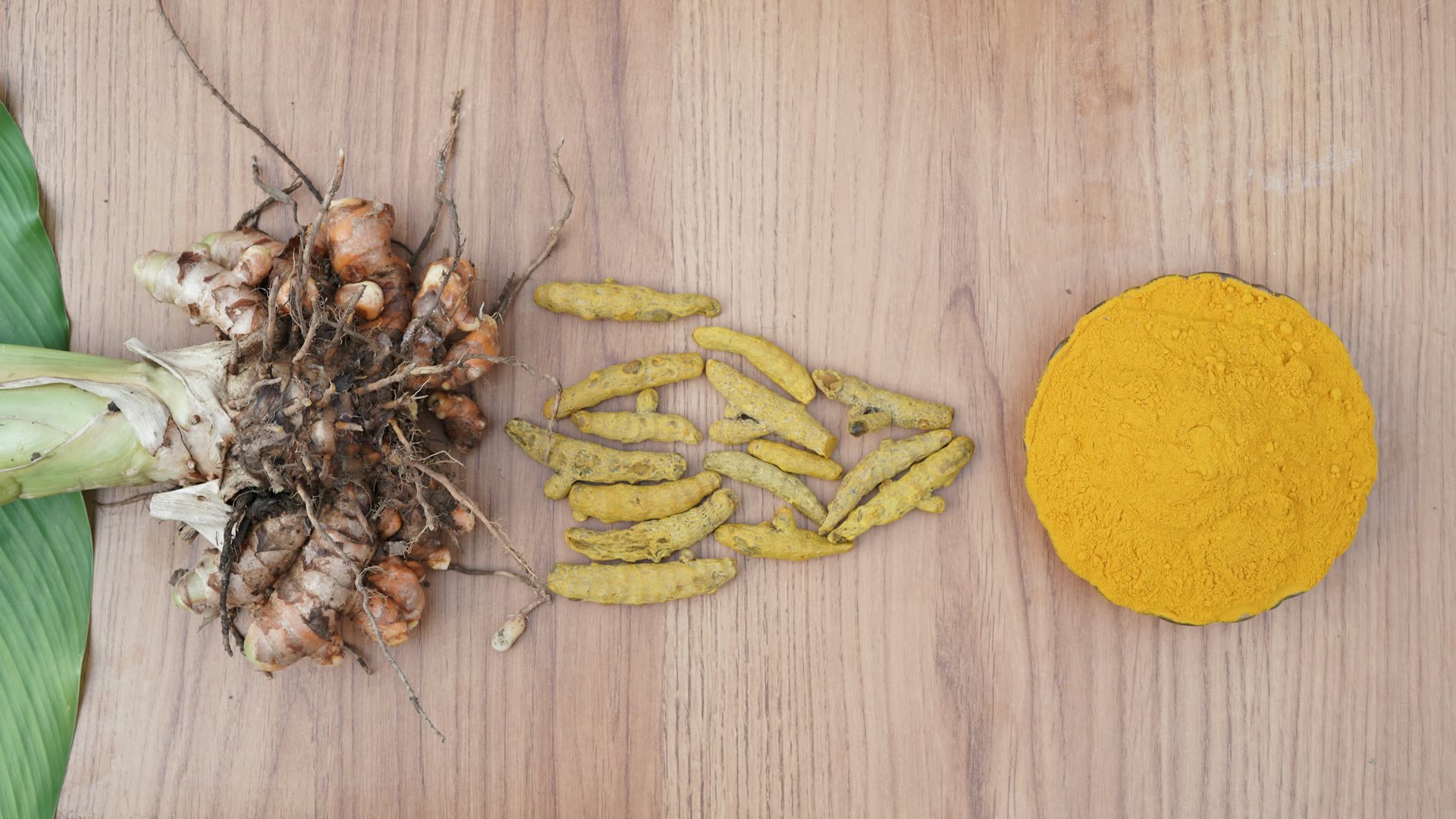 Thai Herbs for Pet Skin: Turmeric, Plai, Triphala and Mangosteen — What Does the Research Say?